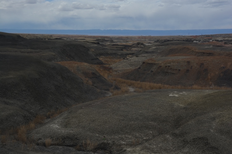 bisti wilderness